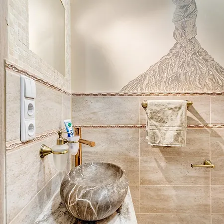 Guest Huouse With Sauna & Parking In Old Town 考纳斯